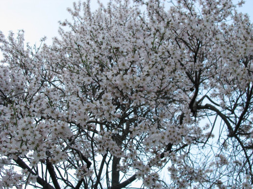 424574 (a): :1600x1200
